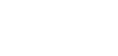 Digital Marknadsföring Fenix